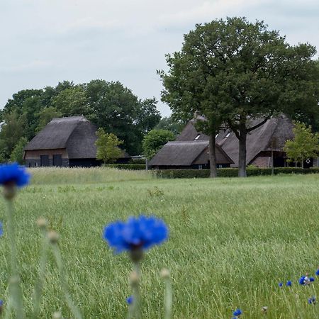 Gastenverblijf Lheederhof Двингело Экстерьер фото