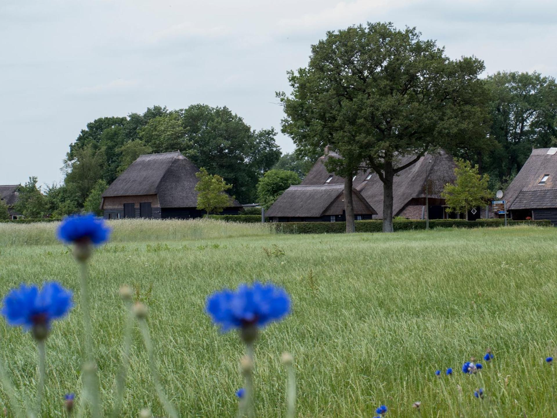 Gastenverblijf Lheederhof Двингело Экстерьер фото
